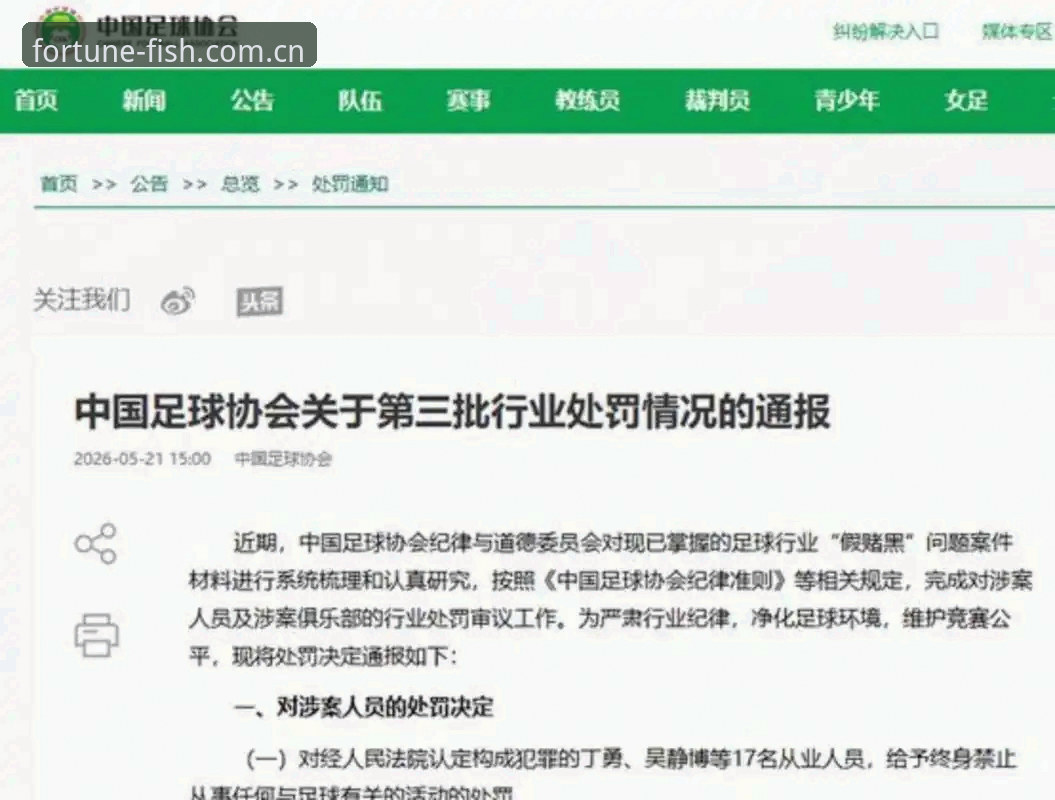 3大警示案例解析中国足协第三批禁足名单背后的足球乱象